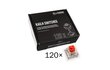 Glorious PC Gaming Race Kailh Box Red Linear & Silent 120 vnt hinta ja tiedot | Näppäimistöt | hobbyhall.fi