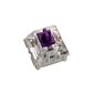 Glorious PC Gaming Race Kailh Pro Purple 120 vnt hinta ja tiedot | Näppäimistöt | hobbyhall.fi