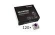 Glorious PC Gaming Race Kailh Pro Purple 120 vnt hinta ja tiedot | Näppäimistöt | hobbyhall.fi