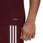 Miesten lyhythihainen paita Adidas Squadra 21 Trikoo GN8091, viininpunainen väri hinta ja tiedot | Jalkapallovaatteet ja -varusteet | hobbyhall.fi