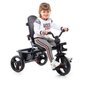 Kolmipyöräinen Urban Trike Basic Molto (99 cm) hinta ja tiedot | Kolmipyörät | hobbyhall.fi