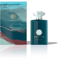 Hajuvesi Amouage Enclave EDP, 100 ml hinta ja tiedot | Miesten hajuvedet | hobbyhall.fi