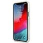 Puhelimen kotelo Guess GUHCP12LKTRSVGO iPhone 12 Pro Max 6.7''. hinta ja tiedot | Puhelimen kuoret ja kotelot | hobbyhall.fi