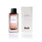 Dolce & Gabbana 3 L'Imperatrice EDT naisille 100 ml hinta ja tiedot | Naisten hajuvedet | hobbyhall.fi