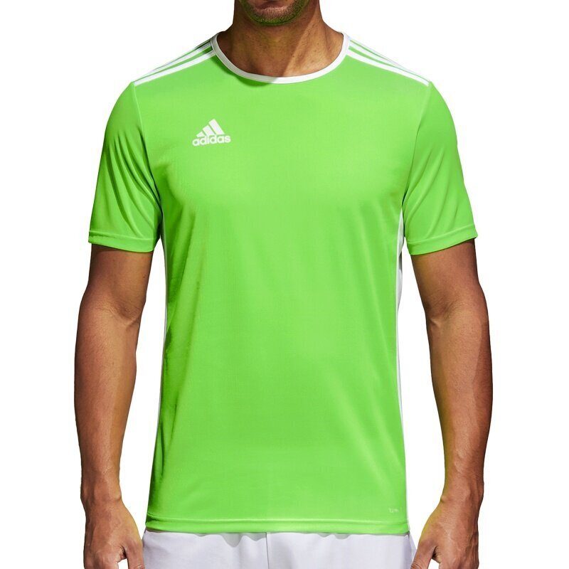 -Miesten T-paita Adidas Entrada 18 Jersey, vihreä hinta ja tiedot | Miesten urheiluvaatteet | hobbyhall.fi