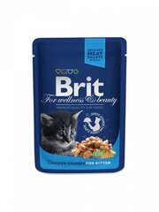 Brit Premium Chicken Chunks in Gravy märkä kissanruoka 100g hinta ja tiedot | Kissanruoka | hobbyhall.fi