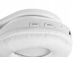 Valkoiset langattomat kissankorvaiset kuulokkeet lapsille Bluetoothin avulla. hinta ja tiedot | Kuulokkeet | hobbyhall.fi
