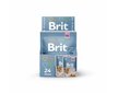 Kissan säilykkeet Brit Premium Cat Delicate Chicken for Kitten 85g x 24kpl hinta ja tiedot | Kissanruoka | hobbyhall.fi