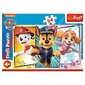 Palapeli Trefl Paw Patrol (Ryhmä Hau), 54 palaa. hinta ja tiedot | Palapelit | hobbyhall.fi