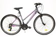 Bicycle Rocksbike Comfort 3,0 26", harmaa/pinkki hinta ja tiedot | Polkupyörät | hobbyhall.fi
