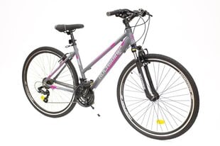 Bicycle Rocksbike Comfort 3,0 26", harmaa/pinkki kaina ir informacija | Polkupyörät | hobbyhall.fi