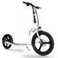 Sähköpotkulauta Beaster Scooter BS09, 350 W, 36 V, 10 Ah, hinta ja tiedot | Sähköpotkulaudat | hobbyhall.fi