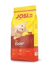 JosiCat herkullisella naudanlihalla Tasty Beef, 10 kg hinta ja tiedot | Kissan kuivaruoka | hobbyhall.fi