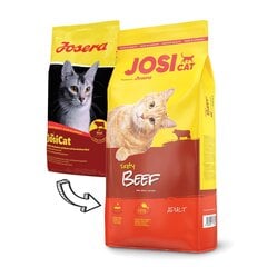 JosiCat herkullisella naudanlihalla Tasty Beef, 10 kg hinta ja tiedot | Josera Lemmikit | hobbyhall.fi