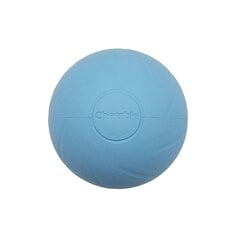 Cheerble Ball W1 SE Interaktiivinen lemmikkipallo hinta ja tiedot | Koiran lelut | hobbyhall.fi