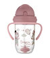 Tarttumaton pullo Canpol Babies BONJOUR PARIS, 6 kuukautta+, 270ml, toim., 56/607_punainen hinta ja tiedot | Tuttipullot ja tarvikkeet | hobbyhall.fi
