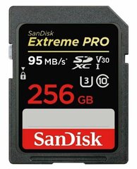 Sandisk By Western Digital SDSDXXD-256G-GN4IN 256 Gt Sandisk By Western Digital SDSDXXD-256G-GN4IN 256 Gt hinta ja tiedot | Puhelimen muistikortit | hobbyhall.fi