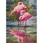 palapeli Cherry Puzzi Bingo Flamingo 1000 palaa hinta ja tiedot | Palapelit | hobbyhall.fi