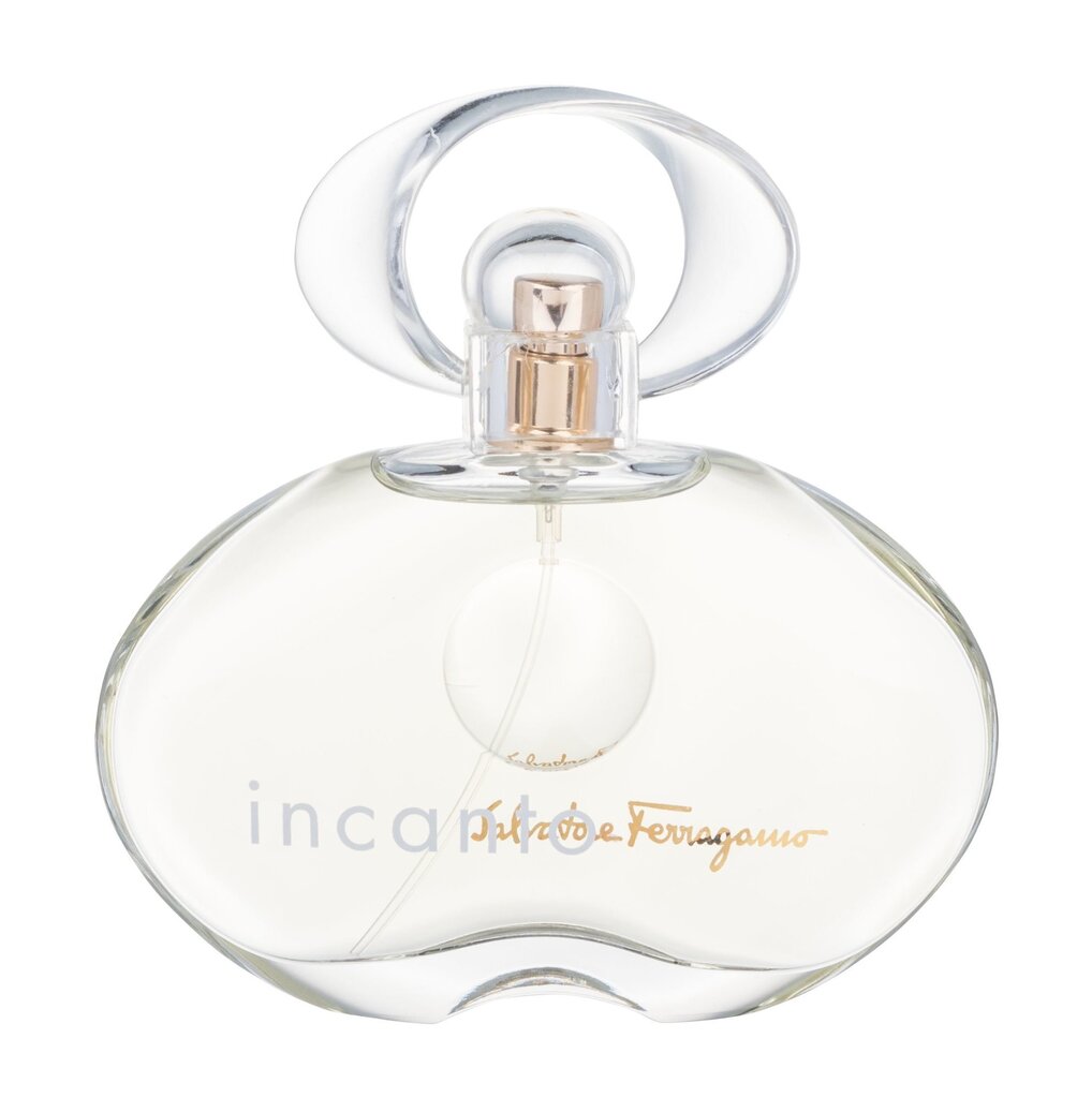 Salvatore Ferragamo Incanto Shine EDT naisille 100 ml hinta ja tiedot | Naisten hajuvedet | hobbyhall.fi