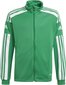 Lasten pusero Adidas Squadra 21 GP6456, vihreä, 152 cm, lasten pusero Adidas Squadra 21 GP6456, vihreä, 152 cm hinta ja tiedot | Jalkapallovaatteet ja -varusteet | hobbyhall.fi