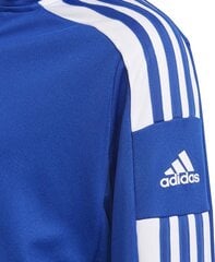 Lataa koukku Adidas Squadra 21 sininen GP6457 hinta ja tiedot | adidas teamwear Urheilu ja vapaa-aika | hobbyhall.fi