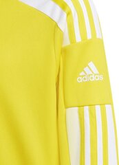 Lasten pusero Adidas Squadra 21 keltainen GP6453 176 cm 176 cm hinta ja tiedot | adidas teamwear Urheilu ja vapaa-aika | hobbyhall.fi