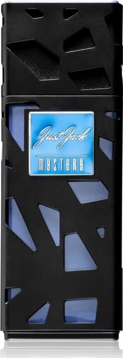 Parfyymi Armaf Just Jack Mystery EDP miehille, 100 ml hinta ja tiedot | Miesten hajuvedet | hobbyhall.fi