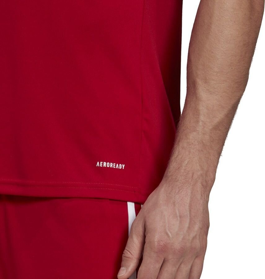 Miesten lyhythihainen T-paita Adidas Squadra 21 Jersey GN5722, punainen, punainen hinta ja tiedot | Jalkapallovaatteet ja -varusteet | hobbyhall.fi