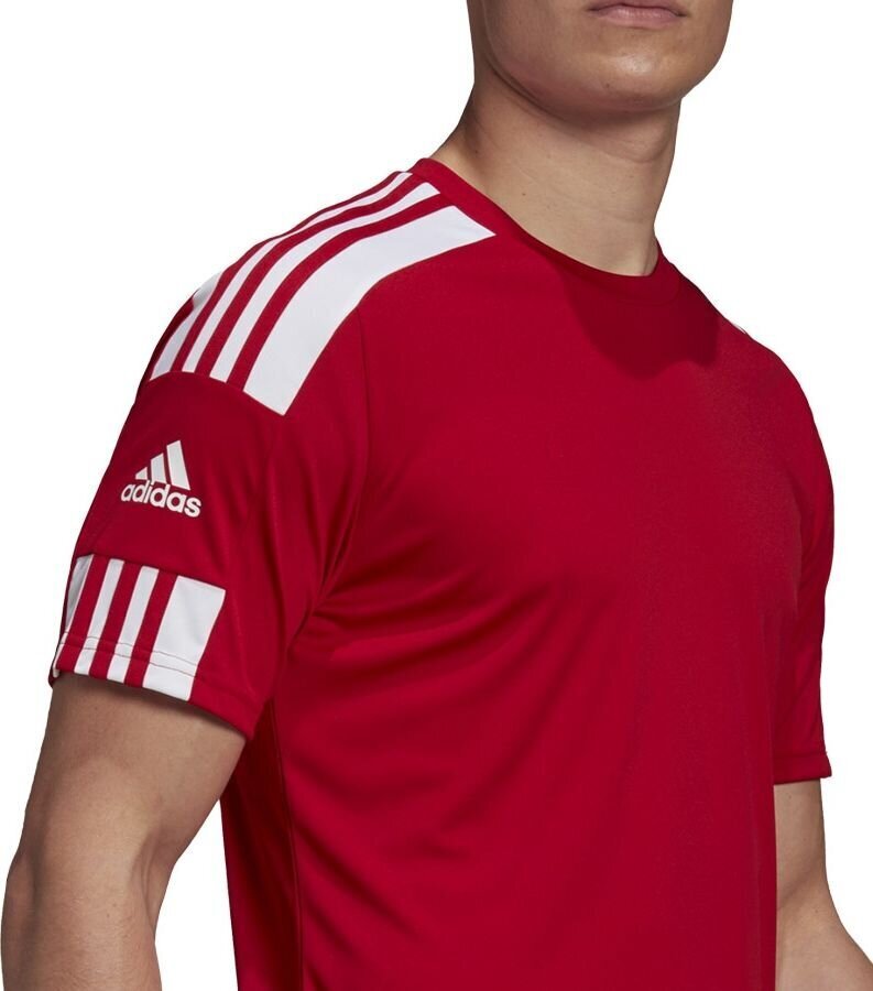 Miesten lyhythihainen T-paita Adidas Squadra 21 Jersey GN5722, punainen, punainen hinta ja tiedot | Jalkapallovaatteet ja -varusteet | hobbyhall.fi