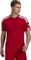 Miesten lyhythihainen T-paita Adidas Squadra 21 Jersey GN5722, punainen, punainen hinta ja tiedot | Jalkapallovaatteet ja -varusteet | hobbyhall.fi