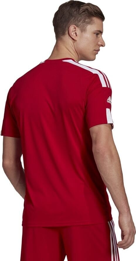 Miesten lyhythihainen T-paita Adidas Squadra 21 Jersey GN5722, punainen, punainen hinta ja tiedot | Jalkapallovaatteet ja -varusteet | hobbyhall.fi