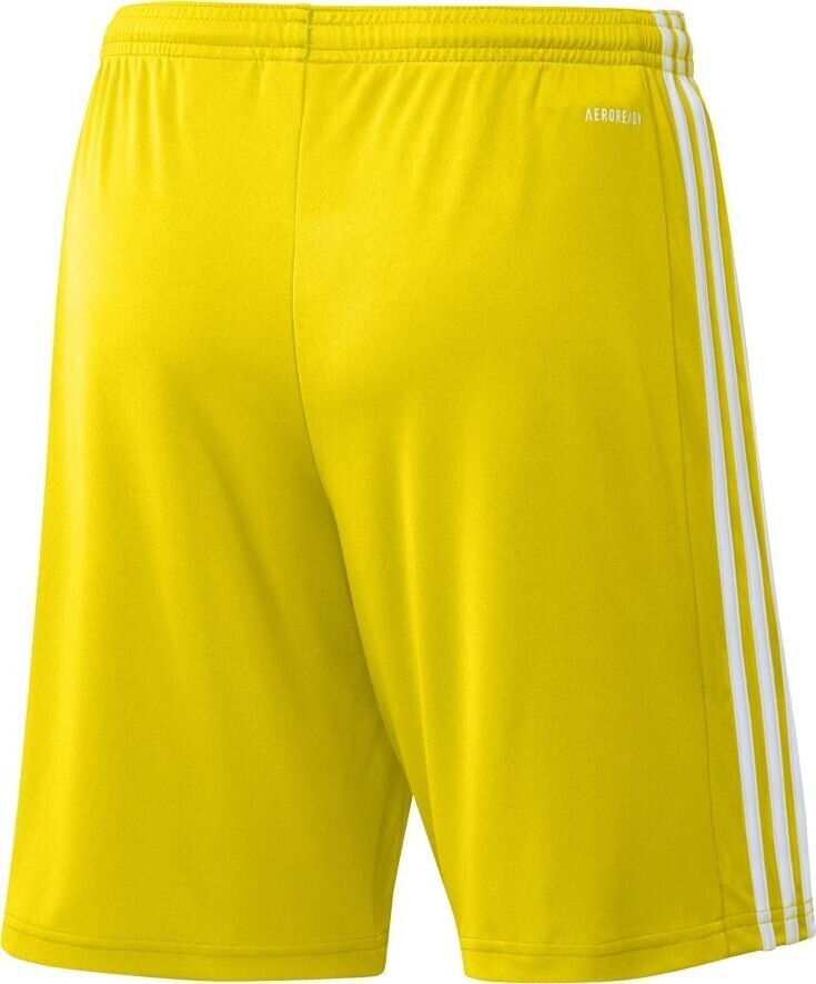 Miesten shortsit adidas Squadra 21 GN5772, keltainen, XL hinta ja tiedot | Jalkapallovaatteet ja -varusteet | hobbyhall.fi