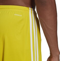 Miesten shortsit adidas Squadra 21 GN5772, keltainen, XL hinta ja tiedot | Jalkapallovaatteet ja -varusteet | hobbyhall.fi