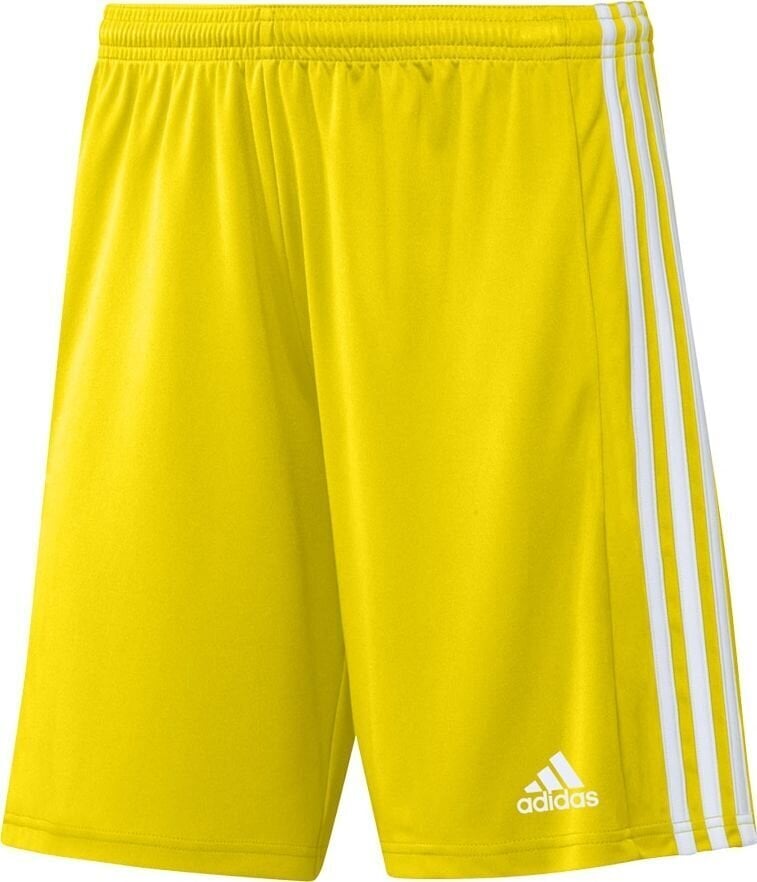 Miesten shortsit adidas Squadra 21 GN5772, keltainen, XL hinta ja tiedot | Jalkapallovaatteet ja -varusteet | hobbyhall.fi