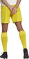 Miesten shortsit adidas Squadra 21 GN5772, keltainen, M hinta ja tiedot | Jalkapallovaatteet ja -varusteet | hobbyhall.fi