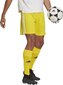 Miesten shortsit adidas Squadra 21 GN5772, keltainen, L hinta ja tiedot | Jalkapallovaatteet ja -varusteet | hobbyhall.fi