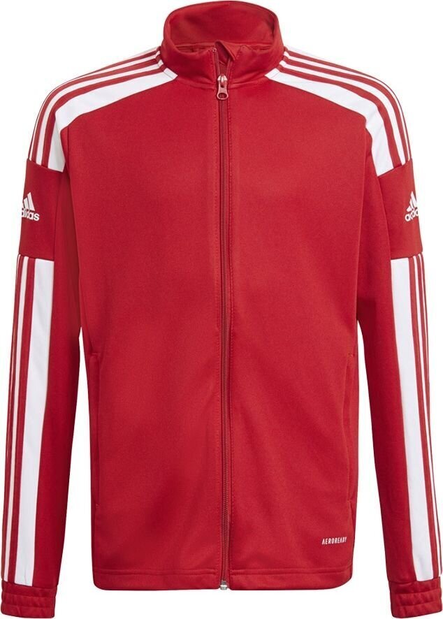 Lasten pusero Adidas Squadra 21 punainen GP6458, 128 cm. hinta ja tiedot | Jalkapallovaatteet ja -varusteet | hobbyhall.fi