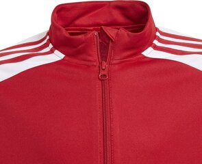 Lasten pusero Adidas Squadra 21 punainen GP6458, 128 cm. hinta ja tiedot | Jalkapallovaatteet ja -varusteet | hobbyhall.fi