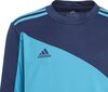 Lasten maalivahdin pelipaita Adidas Squadra 21 GN6947, sininen, sininen hinta ja tiedot | Jalkapallovaatteet ja -varusteet | hobbyhall.fi