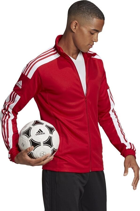 Miesten collegepaita adidas Squadra 21 punainen GP6464 hinta ja tiedot | Jalkapallovaatteet ja -varusteet | hobbyhall.fi