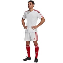 Miesten shortsit Adidas Squadra 21 GN5770, valkoinen/punainen hinta ja tiedot | Jalkapallovaatteet ja -varusteet | hobbyhall.fi