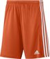 Miesten shortsit adidas Squadra 21 GN8084, oranssi, L hinta ja tiedot | Jalkapallovaatteet ja -varusteet | hobbyhall.fi