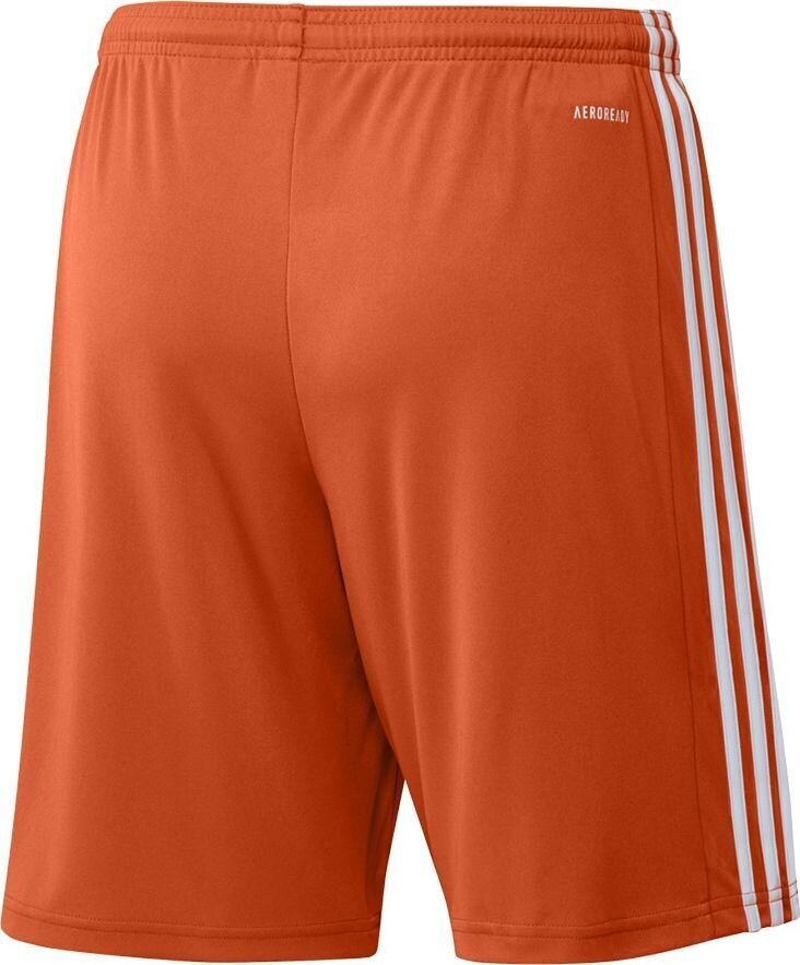 Miesten shortsit adidas Squadra 21 GN8084, oranssi, L hinta ja tiedot | Jalkapallovaatteet ja -varusteet | hobbyhall.fi