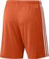 Miesten shortsit adidas Squadra 21 GN8084, oranssi, L hinta ja tiedot | Jalkapallovaatteet ja -varusteet | hobbyhall.fi