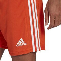 Miesten shortsit adidas Squadra 21 GN8084, oranssi, L hinta ja tiedot | Jalkapallovaatteet ja -varusteet | hobbyhall.fi