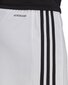 Miesten shortsit adidas Squadra 21 GN5773, valkoinen hinta ja tiedot | Jalkapallovaatteet ja -varusteet | hobbyhall.fi
