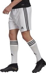 Miesten shortsit adidas Squadra 21 GN5773, valkoinen hinta ja tiedot | Jalkapallovaatteet ja -varusteet | hobbyhall.fi