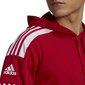 Miesten pusero Adidas Squadra 21 punainen GP6435 XL hinta ja tiedot | Jalkapallovaatteet ja -varusteet | hobbyhall.fi