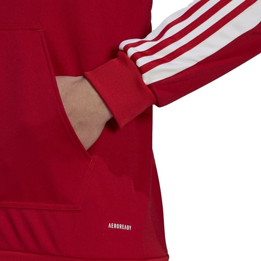 Miesten pusero Adidas Squadra 21 punainen GP6435 XL hinta ja tiedot | Jalkapallovaatteet ja -varusteet | hobbyhall.fi