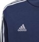 Lasten pusero Adidas Tiro 21 GK9680, tummansininen, tumma sininen hinta ja tiedot | Poikien puserot, liivit ja jakut | hobbyhall.fi